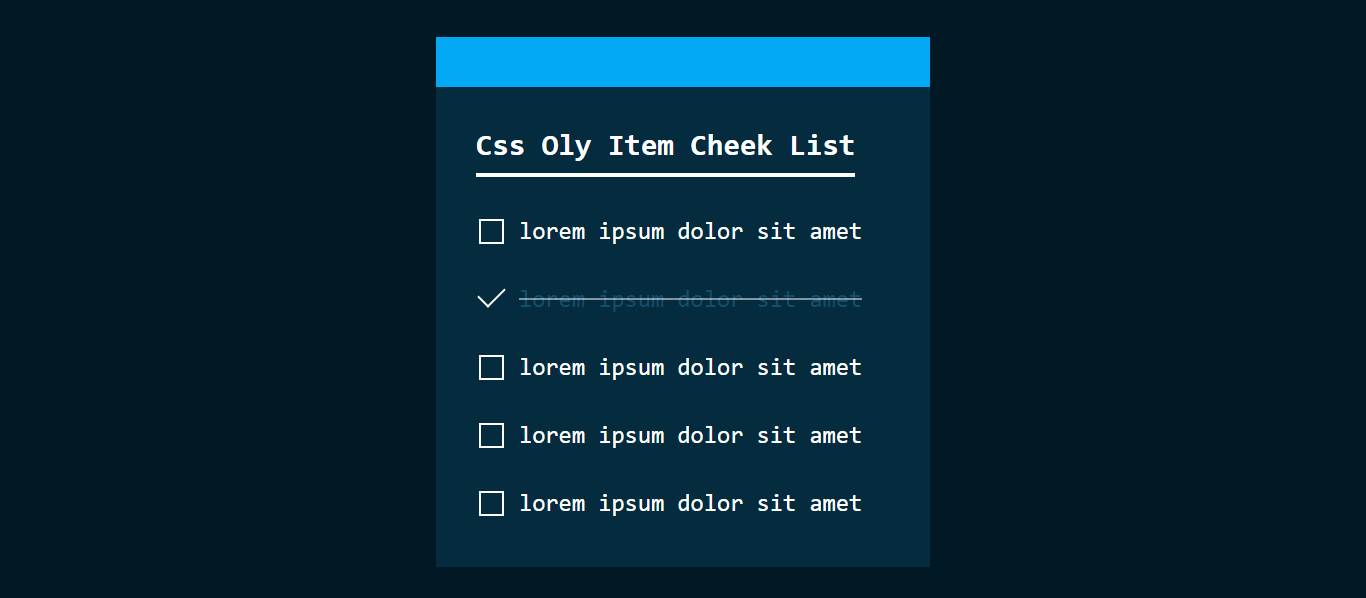 CSS Item Checklist